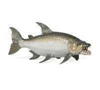 Papo - Pez Tigre Goliat - Figura de Pez Realista - 5,5 cm | Desde 3 años, pez depredador realista para explorar la vida acuática jugando y despertar la curiosidad por la naturaleza