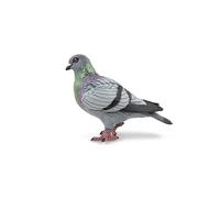 Papo - Pintado a Mano - Figuras de Animales - Piegon - 50295 - Vida Silvestre - Coleccionable - para niños - Adecuado para niños y niñas - A Partir de 3 años