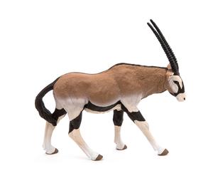 PAPO Wild Animal Kingdom Oryx Antílope Figura Juguete Tres Años O Sobre (50139)