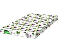 Papyrus ProDesign - Papel de impresión universal (500 hojas, 100g, 42 x 29,7 cm, A3), color blanco