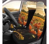 PAQOLSMCKR Juego de 2 fundas de asiento de coche para coche, calabazas en el suelo, protectores de asiento con correa elástica, impermeables, accesorios para automóvil, juego de 2