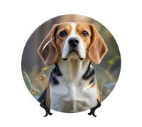 PAQOLSMCKR Plato decorativo de porcelana de hueso con diseño de perro Beagle, platos decorativos de cerámica con diseño de perro Beagle, adorno de cerámica, manualidades, plato de porcelana para sala