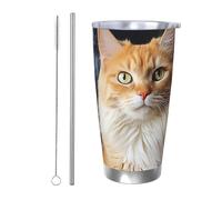 PAQOLSMCKR Vaso de acero inoxidable con tapa de 20 onzas, vaso aislado de acuo, taza de café con diseño de gatos, animales, taza de café para viajes, reutilizable, taza de coche con aislamiento de