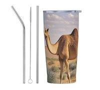 PAQOLSMCKR Vaso de acero inoxidable con tapa de 20 onzas, vaso aislado de acuo, taza de café del desierto para viajes, reutilizable, taza aislada de doble pared para café