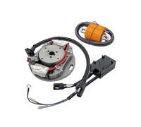 Paquete Alto Voltaje Bobina Encendido Rotor Estator Magneto Caja CDI Para Suzuki Para RM80 1996-2001 Para RM85 2002-2017 Para RM85L 2003-2020 Bobina Encendido
