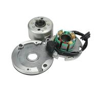 Paquete Alto Voltaje Juego Rotor Magneto Estator Bobina 150 Cc Para Lifan LF150 150 Cc Para Pozo Para Tierra Horizontal Para Monkey Bike 150 Cc Bobinas Encendido