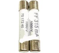 Paquete de 10 fusibles cerámicos de acción rápida de 6,3 x 32 mm, FF: 315 mA, FF500 mA, FF630 mA, FF800 mA, FF1 A, FF1,6 A, FF2 A, 1000 V(FF315mA 1000V)