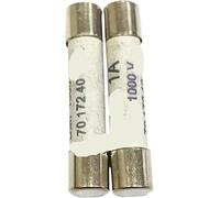 Paquete de 10 fusibles cerámicos de acción rápida de 6,3 x 32 mm, FF: 315 mA, FF500 mA, FF630 mA, FF800 mA, FF1 A, FF1,6 A, FF2 A, 1000 V(FF1A 1000V)