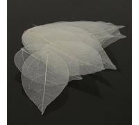 Paquete de 10 hojas de esqueleto para DIY para manualidades Scrapbooking giftwrapping Decration Crafts, Blanco, 4-9cmx2-5cm/1.6-3.6 inchx0.8-2 inch