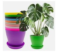 Paquete de 10 macetas de plástico con platillos, macetas decorativas de 14 cm, macetas coloridas para vivero con múltiples orificios de dren