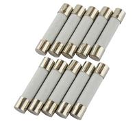 Paquete de 10 SeKi Fusibles de cerámica 10 A, 6 x 30 mm, de acción lenta; Fusible de vidrio de seguridad fina 250 V