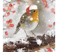 Paquete de 10 tarjetas de Navidad benéficas - British Heart Foundation, NSPCC, Marie Curie, Alzheimer's Society, Parkinson's UK y Age UK - Snowy Festive Robin - Regalo Navidad Ecológicas