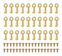Paquete de 100 clips con tornillos para una fijación fuerte y segura del marco, metal resistente a la corrosión para exhibiciones de arte (dorado)