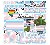 Paquete de 110 calcomanías transgénero del orgullo MEPLUM para cosas trans, calcomanías impermeables de orgullo LGBTQ a granel como regalo trans, accesorios de orgullo trans para botella de agua (al