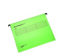 Paquete de 12 archivadores colgantes A4 con pestañas e inserciones de tarjetas para archivadores, polipropileno A4, carpetas colgantes de almacenamiento, carpetas interiores (verde)