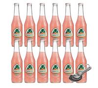 [Paquete de 12] [Cuchara medidora gratis] Jarritos de refresco para envío de pulpa para un envío más seguro, 12.5 onzas líquidas (guayaba)
