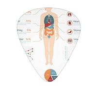 Paquete de 12 púas de guitarra Infografías Mapa Hombres Mujeres Púas delgadas medianas pesadas