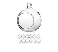 Paquete de 12 terrarios colgantes de cristal de 2.5 pulgadas / mini adornos de bricolaje (con paño de vidrio WGV)