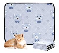 Paquete de 2 alfombrillas a prueba de orina para perros, antideslizantes, para playa, 24 x 36 pulgadas + 36 x 42 pulgadas, bonito oso azul recién nacidos
