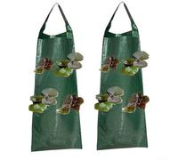 Paquete de 2 bolsas de cultivo colgantes para ahorrar espacio, fresas, tomates y verduras, adecuadas para balcones, jardines pequeños y patios (A)