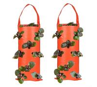 Paquete de 2 bolsas de cultivo colgantes resistentes a la intemperie con bolsillos de plantación para fresas, tomates y crecimiento de verduras en espacio limitado (G)