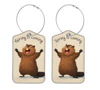 Paquete de 2 etiquetas de equipaje de piel sintética con diseño de ardilla Spring is Coming, accesorios de viaje, juego de etiquetas de identificación para maleta, equipaje de mano y bolsos de mano