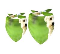 Paquete de 2 pañuelos para perro, color blanco maltés en pradera, baberos para perros pequeños, medianos y grandes, cachorros, gatos, mascotas