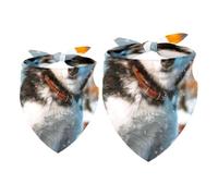 Paquete de 2 pañuelos para perros Husky in the Snow Girl Boy Baberos bufanda para perros pequeños, medianos y grandes, cachorros, gatos y mascotas