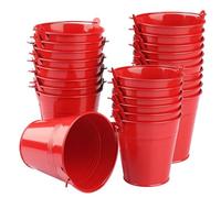 Paquete de 25 cubos de hierro rojo de 4 pulgadas, cubos de metal con asa, cubo de Pascua, soporte para lápices y macetas, se utilizan para llevar, almacenar o incluso plantar. GENHAKON.