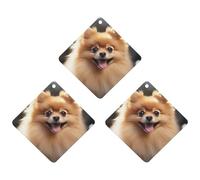 Paquete de 3 ambientadores colgantes de incienso para coche, hojas perfumadas para decoración interior de coche, hogar, perro, pomerania