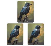 Paquete de 3 ambientadores colgantes de incienso para coche, hojas perfumadas para decoración interior de coche, hogar, coche, pájaro, en días lluviosos