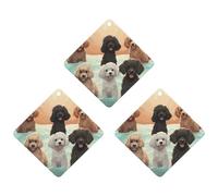 Paquete de 3 ambientadores colgantes de incienso para coche, hojas perfumadas para decoración interior de coche, hogar, perro, caniche