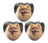 Paquete de 3 ambientadores colgantes de incienso para coche, hojas perfumadas para decoración interior de coche, hogar, perro, pomerania