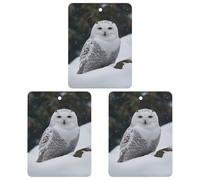 Paquete de 3 ambientadores colgantes de incienso para coche, hojas perfumadas para decoración interior de coche, hogar, búho de nieve