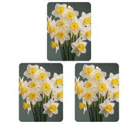 Paquete de 3 ambientadores colgantes de incienso para coche, hojas perfumadas para decoración interior de coche, hogar, coche, fotos, narcisos