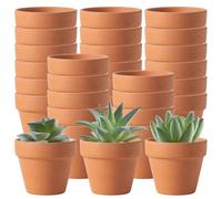 Paquete de 30 macetas de terracota con orificios de drenaje, mini maceteros pequeños de cerámica de arcilla, macetas de terracota con flores de cactus, vivero de suculentas para plantas de interior/e