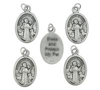 Paquete de 5 medallas ovaladas de San Francisco de Asís para mascotas | "Bendice y proteja a mi mascota" | Patrón de los animales | Gran regalo católico | Se fija al collar o caja para mascotas | Fabricado en Italia, Metal, Sin gemas.