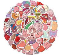 Paquete de 50 calcomanías de anatomía, parte del cuerpo humano para niños, enfermeras, vinilo impermeable, regalos de anatomía y fisiología
