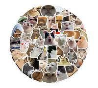 Paquete de 50 calcomanías de animales para botella de agua, calcomanías de PVC para laptop, teléfono, monopatín, regalo para niños y adolescentes