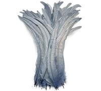 Paquete de 50 plumas de gallo de colores para manualidades, negro y blanco, grandes, 100 % faisán, síntesis de plumas decorativas, accesorios de carnaval, gris, 25-30 cm
