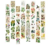 Paquete de 50 tarjetas postales de arte de paisaje vibrante para decoración de pared, álbumes de recortes y tarjetas de felicitación, paisaje natural, decoración del hogar, invitaciones, tarjetas