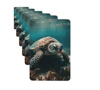 Paquete de 6 ambientadores para coche, agua de mar transparente, lindo ambientador colgante para decoración de habitación automotriz, regalo