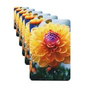 Paquete de 6 ambientadores para coche, diseño de flores bonitas, para colgar en el coche, decoración de habitación de automóvil, regalo