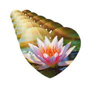 Paquete de 6 ambientadores para coche, hermoso lirio de agua, sol, lindo ambientador colgante para coche, decoración de habitación automotriz, regalo