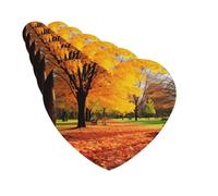 Paquete de 6 ambientadores para coche, hermoso y colorido parque otoñal, lindo ambientador colgante para coche, decoración de habitación de automóvil, regalo