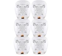 Paquete de 6 faroles chinos de cielo para liberar en memoria, color blanco, faroles de papel conmemorativos, cumpleaños, boda, funeral, Navidad para pedir deseos (blanco)