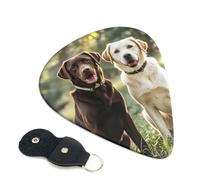 Paquete de 6 púas de guitarra de 3 grosores diferentes para perros labrador retriever con bolsa organizadora de almacenamiento, púas de guitarra eléctrica, púas para guitarras acústicas, púas de bajo