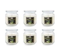 Paquete de 6 velas perfumadas en tarro mediano, cera vegetal 100%, vegana, duración hasta 80 horas - Aromaterapia - Bergamota - Estimulante - Made in Italy - Cereria Di Giorgio