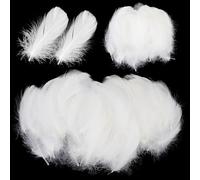 Paquete de 600 plumas blancas para manualidades, plumas de ganso para manualidades, atrapasueños, bodas y proyectos de manualidades, disfraces, bolsos, pendientes y decoración