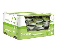 Paquete de 80 antorchas de aluminio con citronela, diámetro de 11 cm, duración de 2,5 horas, citronela de Java, anti mosquitos e insectos Cereria Di Giorgio